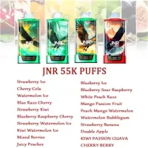 jnr 55000 puffs