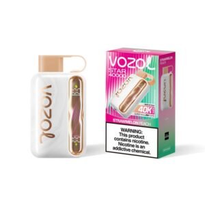 Blueberry Watermelon VOZOL STAR 40000 PUFFS