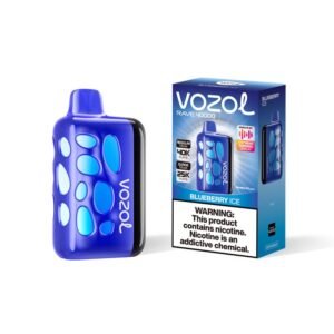 Blueberry Ice VOZOL RAVE 40000 PUFFS