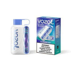 Blueberry Mint VOZOL STAR 40000 PUFFS