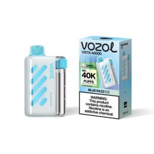 Blue Razz Ice VOZOL VISTA 40000 PUFFS