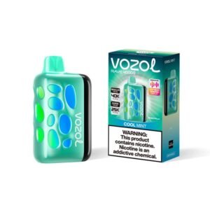Cool Mint VOZOL RAVE 40000 PUFFS