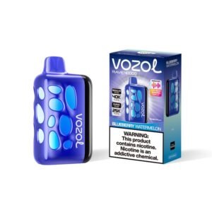 Blueberry Watermelon VOZOL RAVE 40000 PUFFS