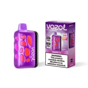 Grape Ice VOZOL RAVE 40000 PUFFS