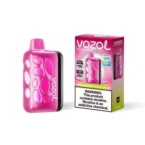 Strawberry Watermelon VOZOL RAVE 40000 PUFFS